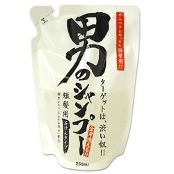 画像1: 地の塩　男のシャンプー　（石けんタイプ・短髪用・全身洗浄料）　詰替用　250ml