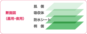断面図（昼用・夜用）