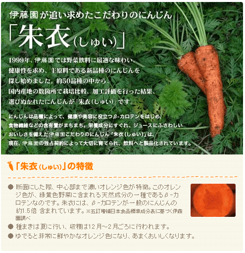 伊藤園が追い求めたこだわりのにんじん「朱衣」