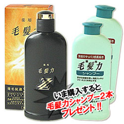 数量限定 ライオン 薬用毛髪力zz ダブルジー 薬用毛髪力シャンプー2本プレゼント