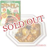 画像: ●2個セット販売　沖縄ハム　ゴーヤーカレー　180g　【カレーライス】