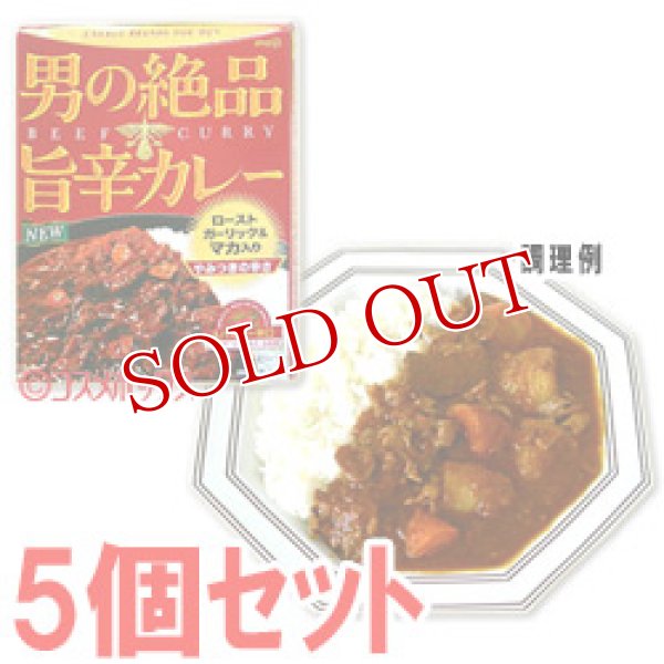 画像1: 明治　男の絶品　旨辛カレー　スパイシー辛口　180g(1人分)×5個セット　meiji (1)
