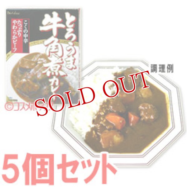 画像1: ハウス　とろうま牛角煮カレー　こくの中辛　210g(1人分)×5個セット　House (1)