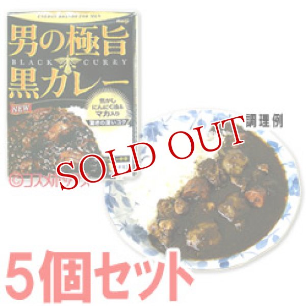 画像1: 明治　男の極旨　黒カレー　スパイシー中辛　180g(1人分)×5個セット　meiji (1)