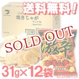 画像: ●送料無料　ケース販売　テラフーズ　焼きじゃが　キムチ味　31g×12袋入り