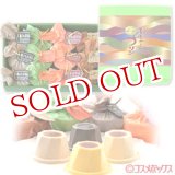 画像: ●送料込価格 菊家 ふるさとぷりん 12個入