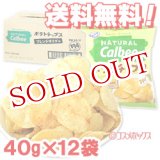 画像: ●送料無料　ナチュラル カルビー(Natural Calbee) ポテトチップス フレンチサラダ味 40g×12袋 ケース販売