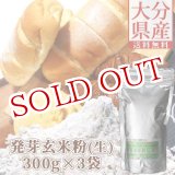 画像: 【送料無料】大分県産 発芽玄米粉(生) 900g(300g×3袋) スタリオン日田