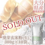 画像: 【送料無料】大分県産 発芽玄米粉(生) 3000g(300g×10袋) スタリオン日田