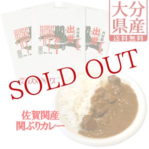 画像: 【ゆうパケット送料無料】富士見水産 出世関ぶりカレー 180g×3