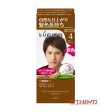 画像: ルシード(LUCIDO) ワンプッシュケアカラー ライトブラウン 白髪用 無香料 マンダム(mandom)