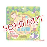 画像: ユニマットリケン(UNIMAT RIKEN) こども肝油＆乳酸菌ドロップグミ ぶどう味 100粒