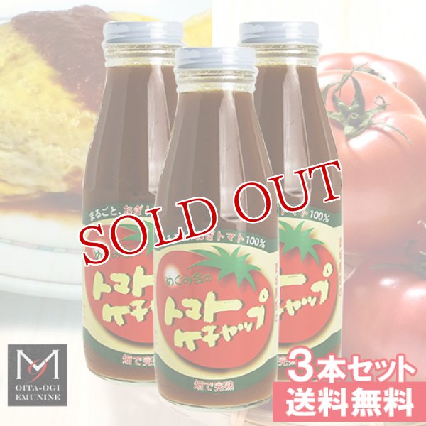 画像2: トマトケチャップ 385g×3本セット エム・ナイン(めぐみ会)【送料無料】 (2)