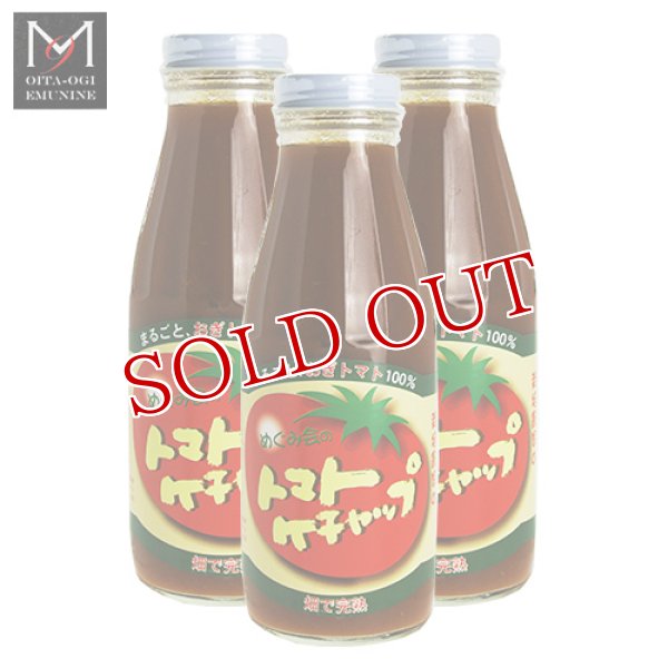 画像1: トマトケチャップ 385g×3本セット エム・ナイン(めぐみ会)【送料無料】 (1)