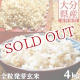 画像: 【送料無料】大分県産 無洗米 手作り発芽玄米 4kg(1kg真空パック×4袋) 準無農薬(減農薬) スタリオン日田