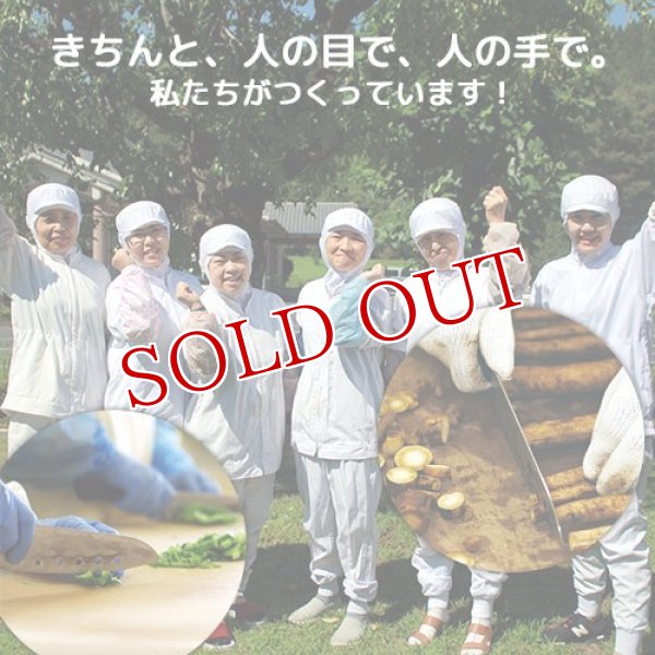 画像6: VEGIMARI(ベジマリ) 無添加 にんじんパウダー 50g 村ネットワーク (6)