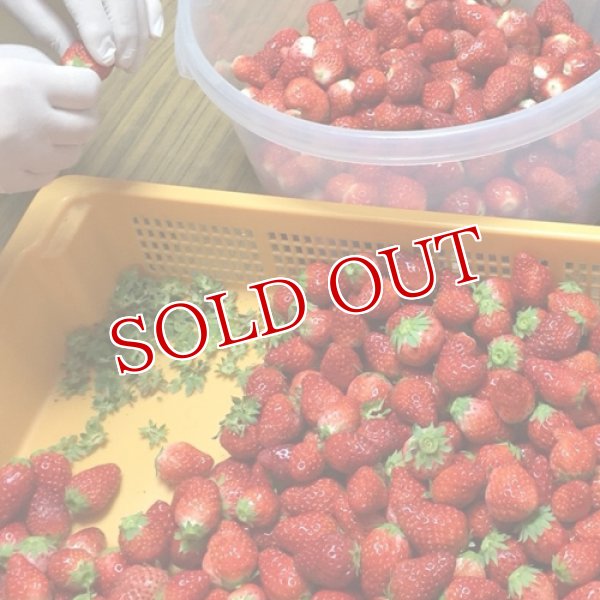 画像3: いちごビネガー(ベリーツ) 250ml×3本 むろおの会【送料無料】 (3)