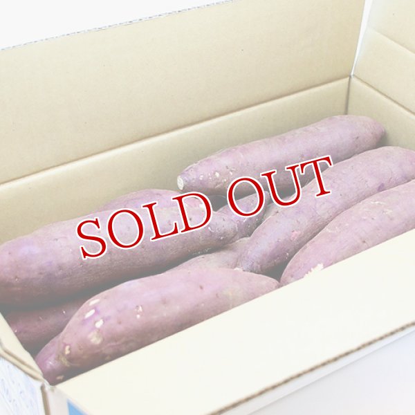 画像5: 高糖度甘藷(さつまいも) 甘太くん 2Lサイズ 5kg 化粧箱入り【送料無料】 (5)