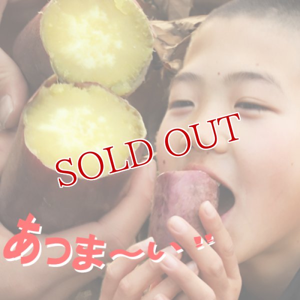 画像3: 高糖度甘藷(さつまいも) 甘太くん 2Lサイズ 5kg 化粧箱入り【送料無料】 (3)