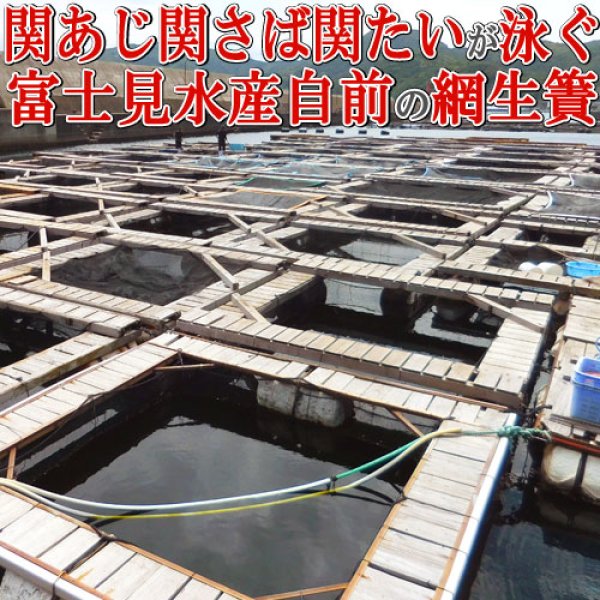 画像6: 関たいの切り身80g入り 1本釣り関鯛の鯛めしの素3個セット ご飯と一緒に炊くだけ 佐賀関の富士見水産【送料無料】 (6)