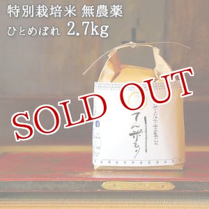 画像: 大分県竹田市産 ひとめぼれ 特別栽培米【無農薬】「てん米もり」2.7kg たなべ農園【送料無料】