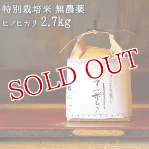 画像: 大分県竹田市産 ヒノヒカリ 特別栽培米【無農薬】「てん米もり」2.7kg たなべ農園【送料無料】