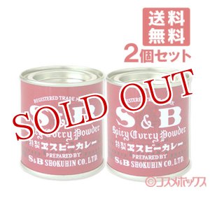 画像: ヱスビー　Spicy Curry Powder 特製ヱスビーカレー　37g×2個セット　S&B