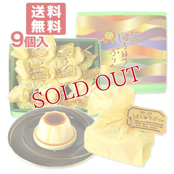 画像1: ●送料込価格　菊家　地卵はちみつぷりん　9個入 (1)