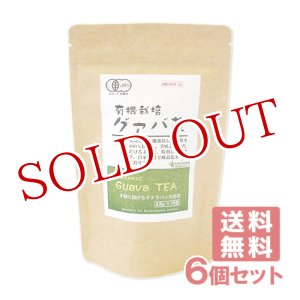 画像: 河村農園 国産 有機栽培 グァバ茶 (3g×15包入)×6個セット kwfa【送料無料】