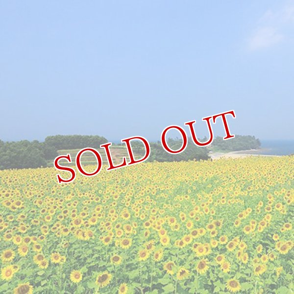 画像3: 油花 花の岬 ひまわり油 180g (3)