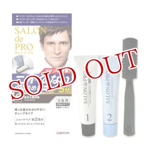 画像: ダリヤ　サロンドプロ　無香料ヘアカラー　メンズスピーディ（白髪用）　6　自然な黒褐色　SALON de PRO　DARIYA
