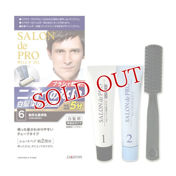 画像1: ダリヤ　サロンドプロ　無香料ヘアカラー　メンズスピーディ（白髪用）　6　自然な黒褐色　SALON de PRO　DARIYA (1)