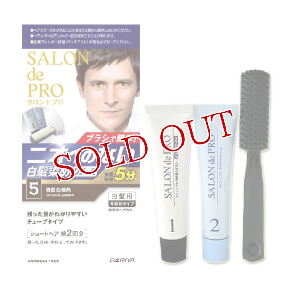 画像1: サロンドプロ 無香料ヘアカラー　メンズスピーディ（白髪用） [5]自然な褐色 SALONdePRO (1)