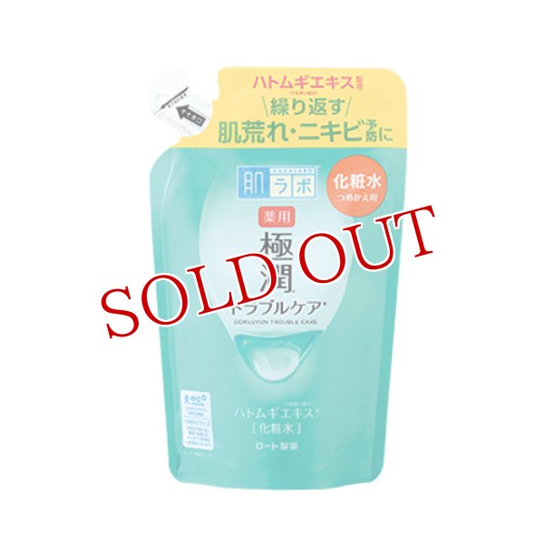 画像1: ロート製薬　肌研(ハダラボ)　薬用　極潤　スキンコンディショナー　つめかえ用　170mL　hadalabo　ROHTO (1)