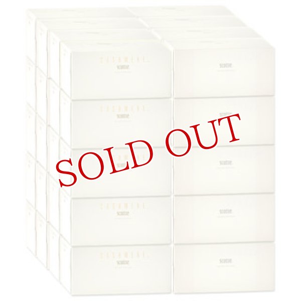 画像1: ●送料無料　　スコッティ カシミヤ 220　10箱入（２ケースセット販売/1箱あたり 195円）SCOTTIE　CASHMERE (1)